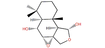 Dendocarbin N